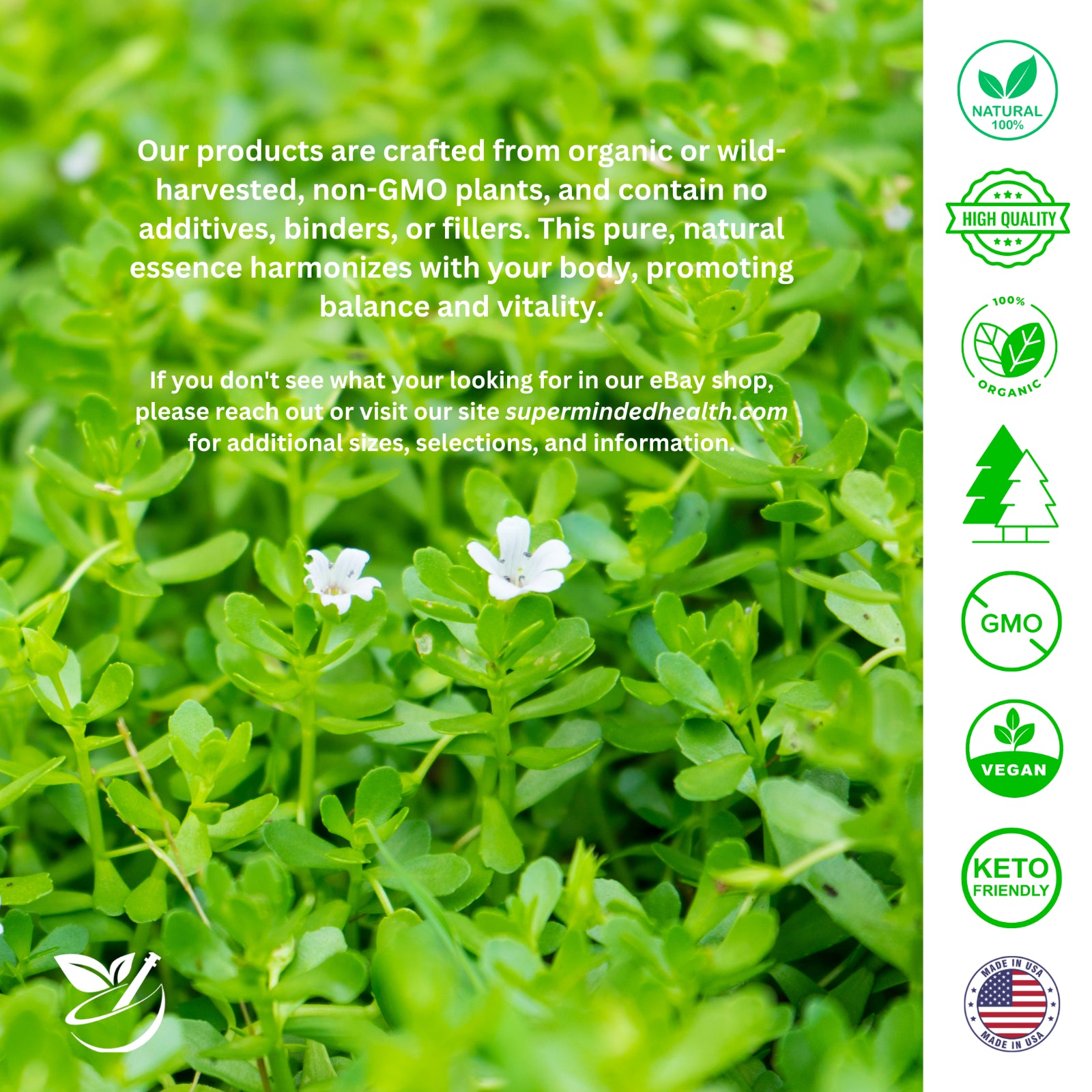 Magnesium Oil Pure Organic Unscented or Lavender Scent
