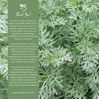 Magnesium Oil Pure Organic Unscented or Lavender Scent
